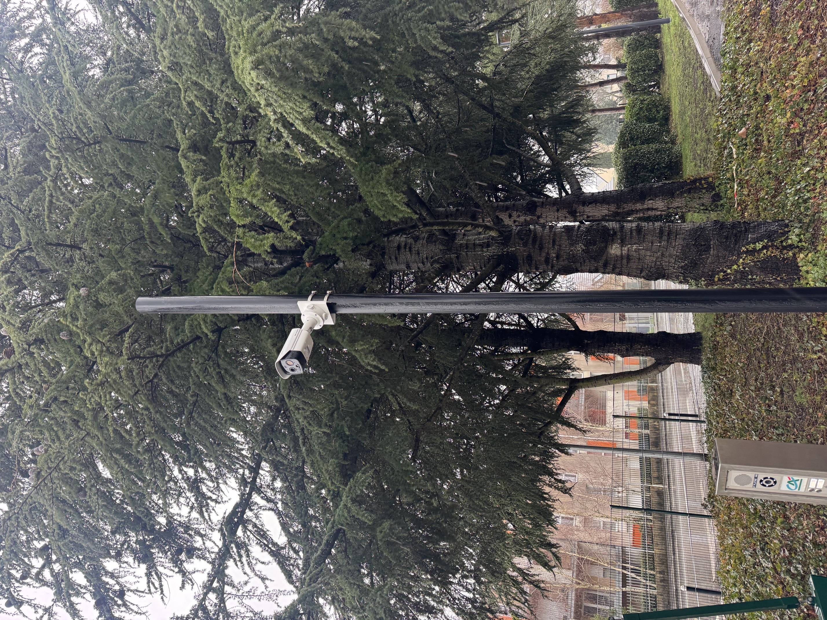 Caméra thermique dans les arbres